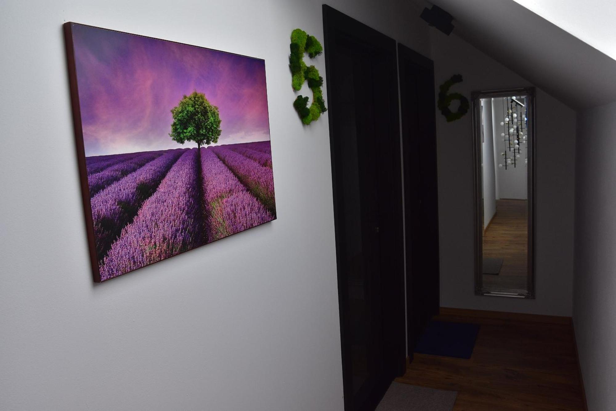 Apartmany Zakovce & Spa Vel'ka Lomnica Eksteriør billede